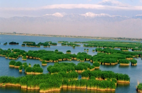 星空app官方网页