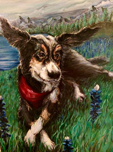 星空app官方网页