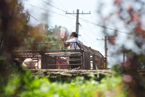 星空app官方网页