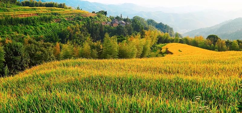 星空app官方网页