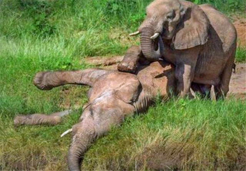 星空app官方网页