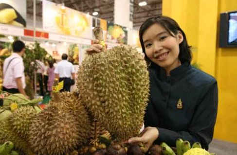 星空app官方网页-20日球会友谊推荐:狼队VS曼城(图3) 星空app官网