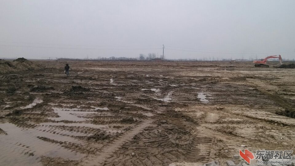 星空app官方网页_桑切斯破门施廷德尔扳平 德国1-1智利(图2) 星空官方网站