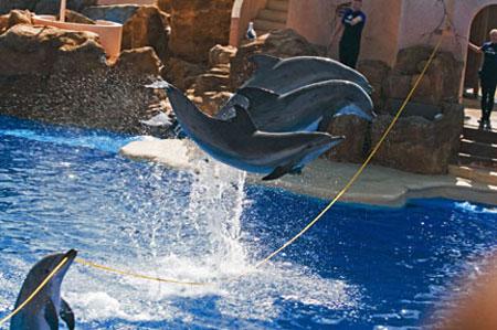 星空app官方网页