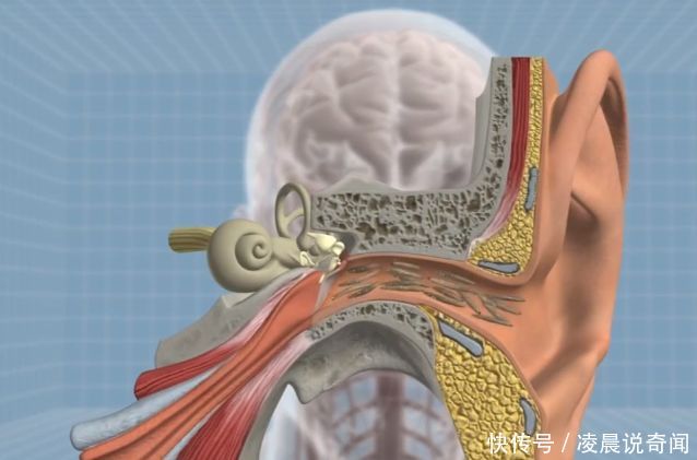 9日瑞典超推荐:哈马比VS奥斯特桑斯【星空官方网站】(图2) 星空app官方网页