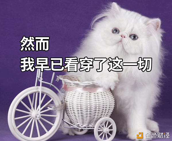 星空官方网站