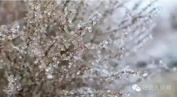 星空官方网站